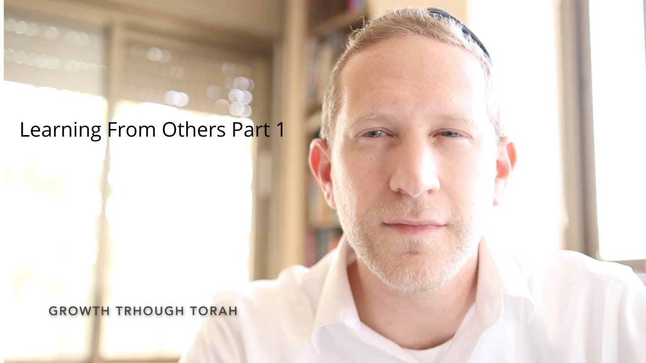 Dovid Lowy- "Meetings" Learning From Everything- Part 1
