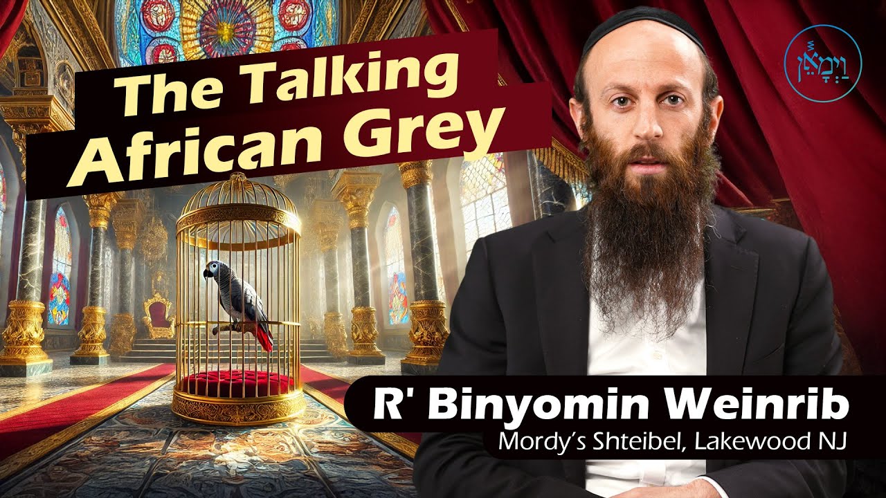 The Talking African Grey | Rabbi Binyomin Weinrib