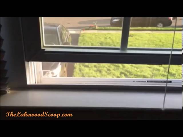 Window safety lock feature