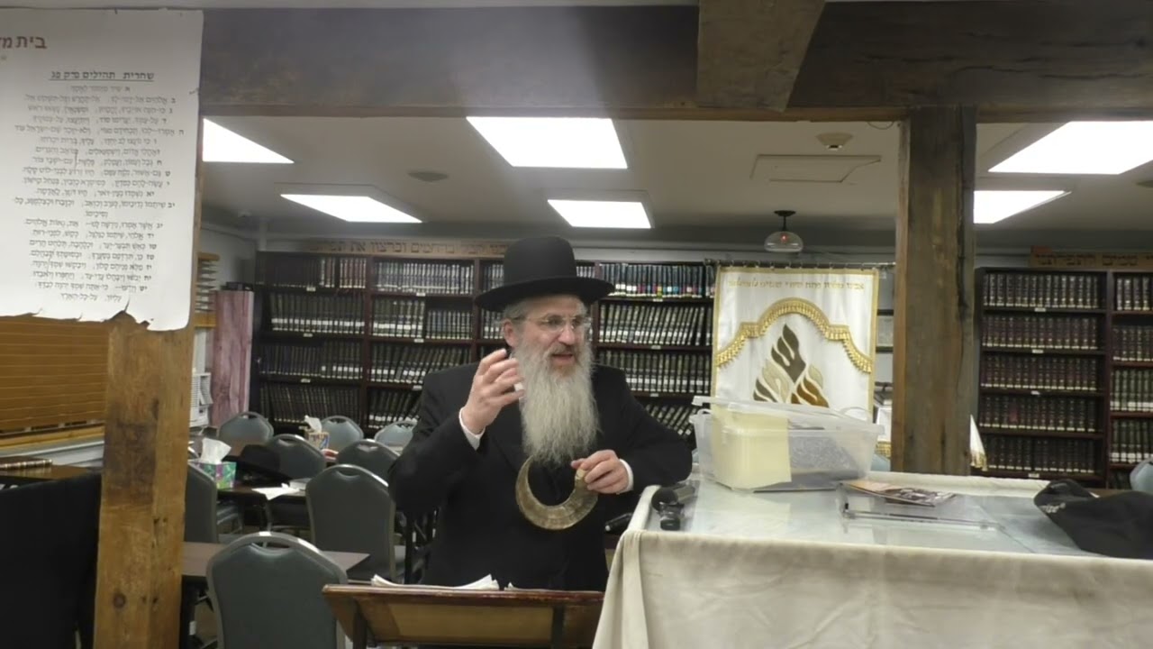 Rabbi Moshe Weiss Practical Halachic Guide to Tekias Shofar at Scheiner's Shul