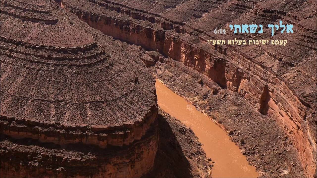 "אליך נשאתי" - קעמפ ישיבות בעלזא & הרשל בריסק - המקהלה הגדולה בתולדות המוזיקה החסידית (אודיו)