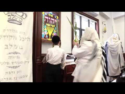 ר' יואל רוטה - הושענא רבה תשפ''ב - R' Yoel Roth