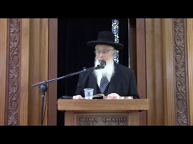 שיעבודא דר' נתן - שיעור כללי מסכת כתובות - הרב יעקב אריאל