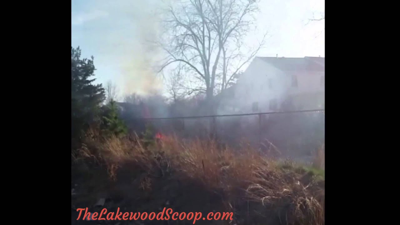 Brush Fire Lakewood