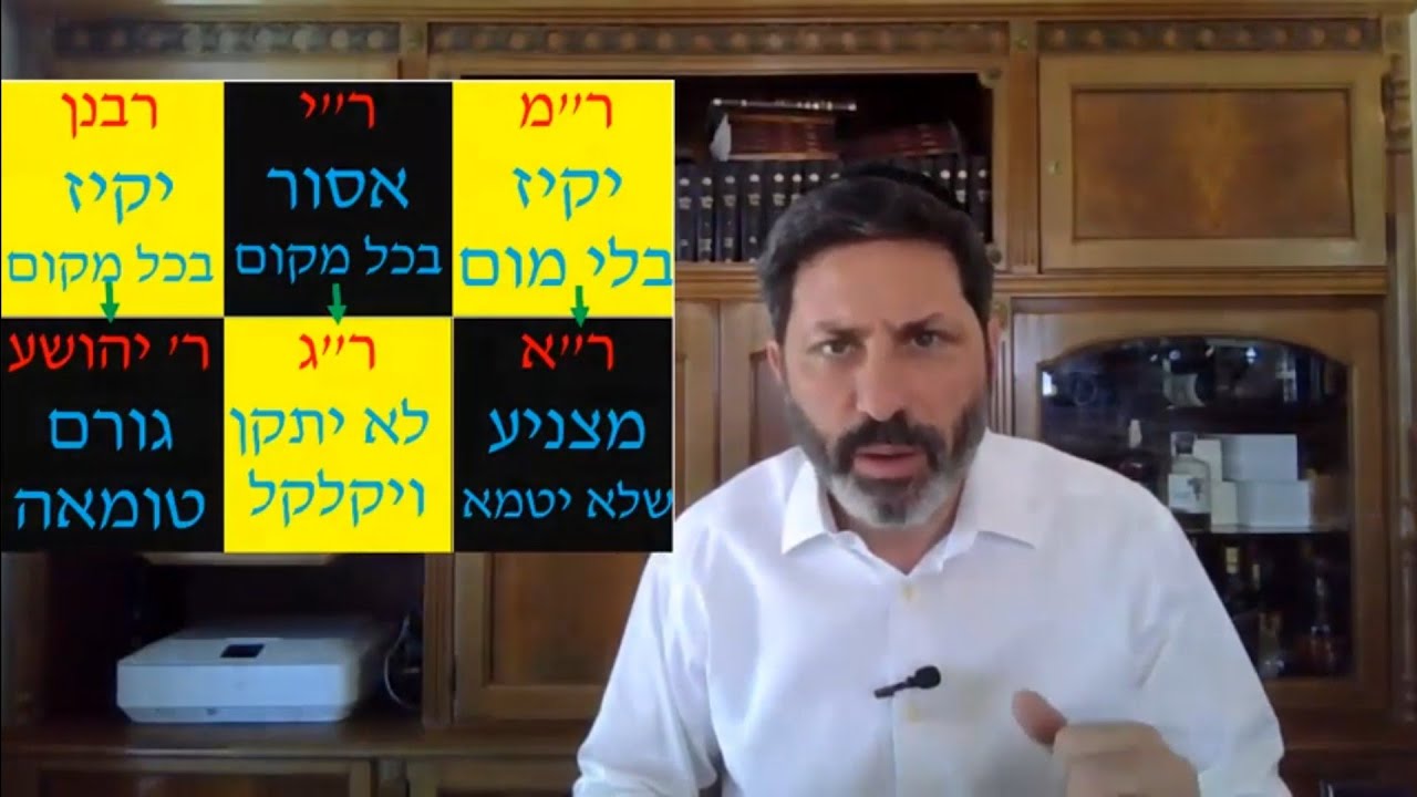Hebrew סיכום הדף בעברית בכורות דף לג