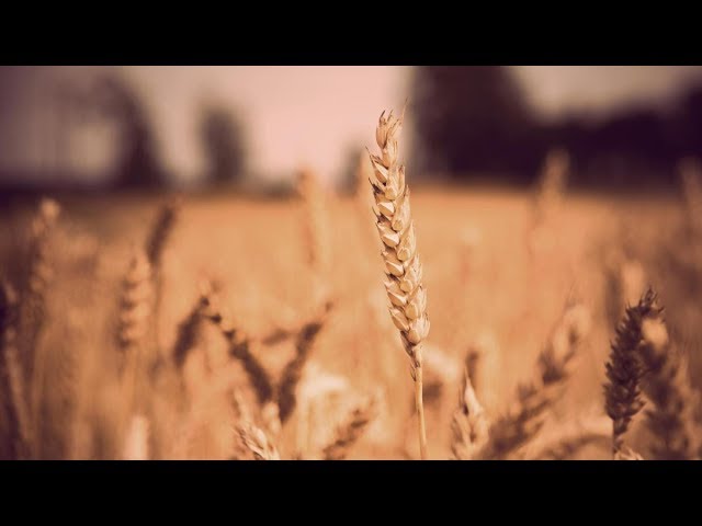 What We Ask of Life; What Life Asks Of Us - By Rabbi YY Jacobson