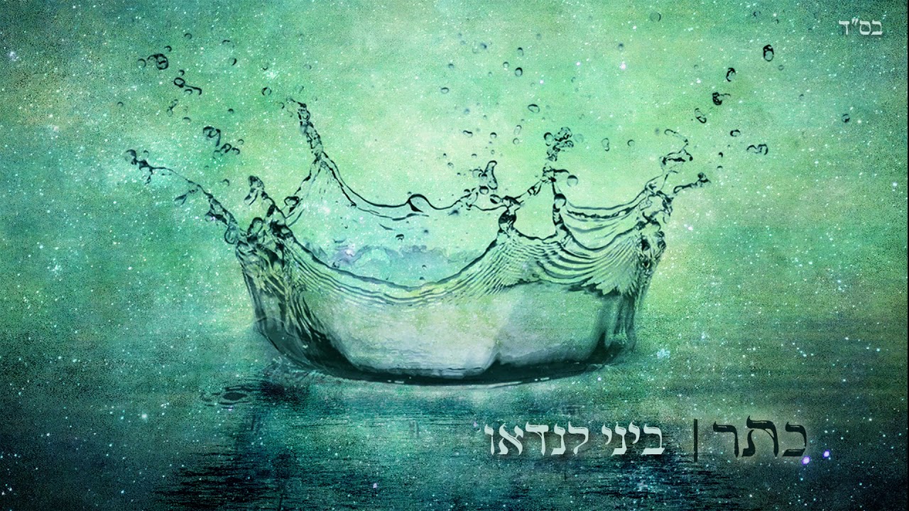 ביני לנדאו • כתר