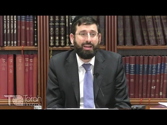 The Last Will and Testament of Rav Yehuda Hachasid - Part 2 : The Chasid's Miraculous Birth