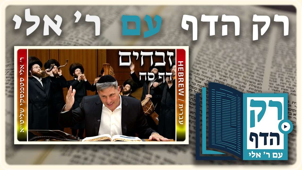 חזרה - זבחים דף סח | "רק הדף" עם ר' אלי סטפנסקי