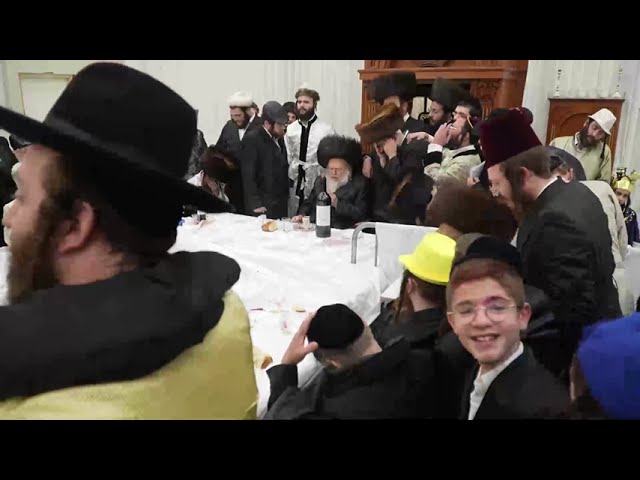 טיש משתה היין בחצה"ק קאמארנא בית שמש
