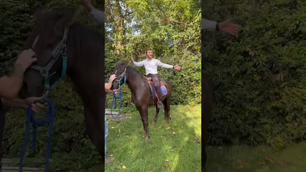 I was asked to surprise at a proposal… Of course I said yes! And so did she! #proposal #jewishmusic