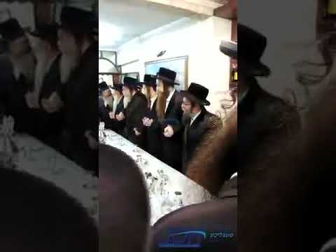 כ"ק אדמו"ר מסקולען ירושלים שליט"א וכ"ק אדמו"ר מאמשינוב ארה"ב שליט"א וכ"ק אדמו"ר מזוועהיל שליט"א