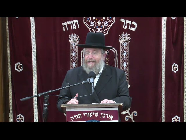 CHAP AREIN! Last Licks  - Rabbi Fishel Schachter Shlit"a
