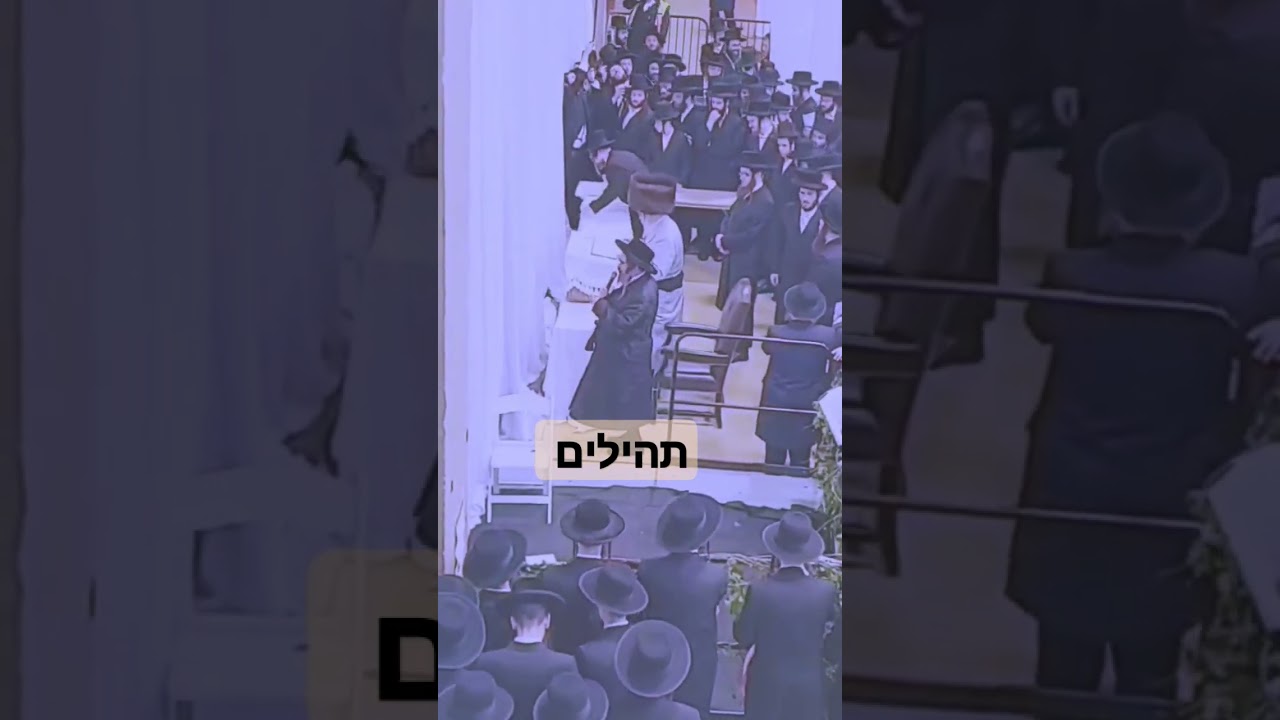 תהלים