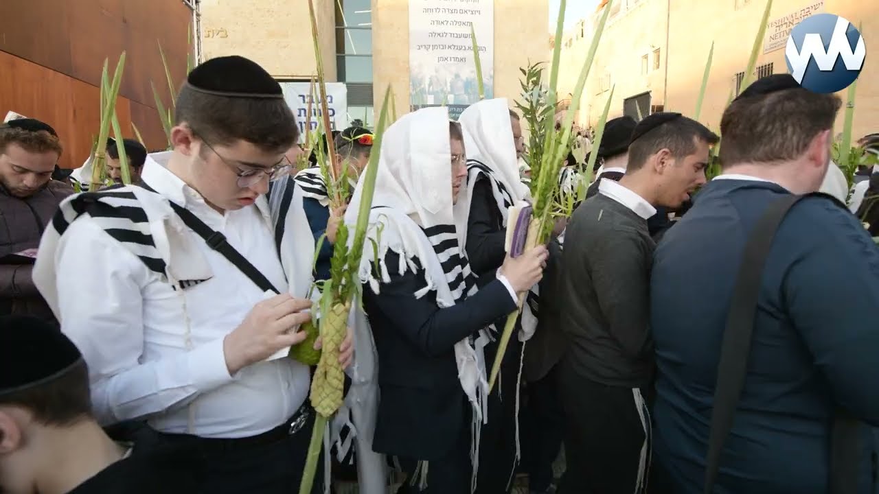 Hoshana Rabbah at the Kosel 2024