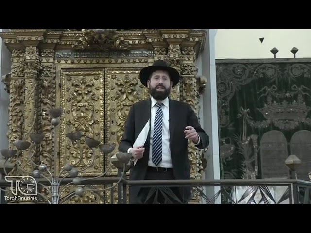 Journey To Italy 2024: The Great Shul of Livorno at the Aron of Rav Yitzchak Lamprunte