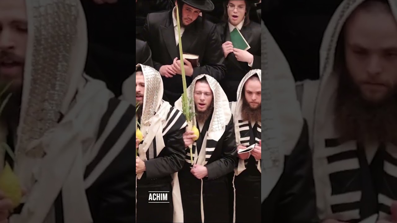 Bobov Rebbe shaking the Lulov and esrog sukkos