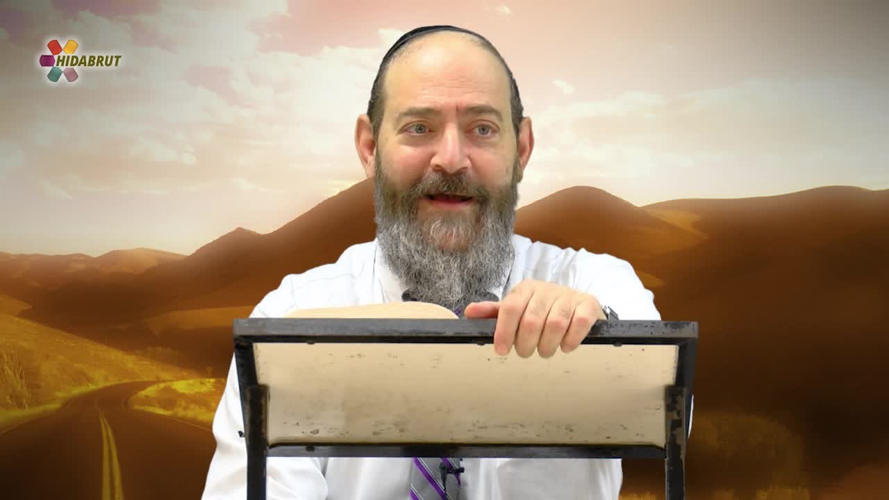Parshat Ki Tetzei: Divorce - Rabbi David Kaplan