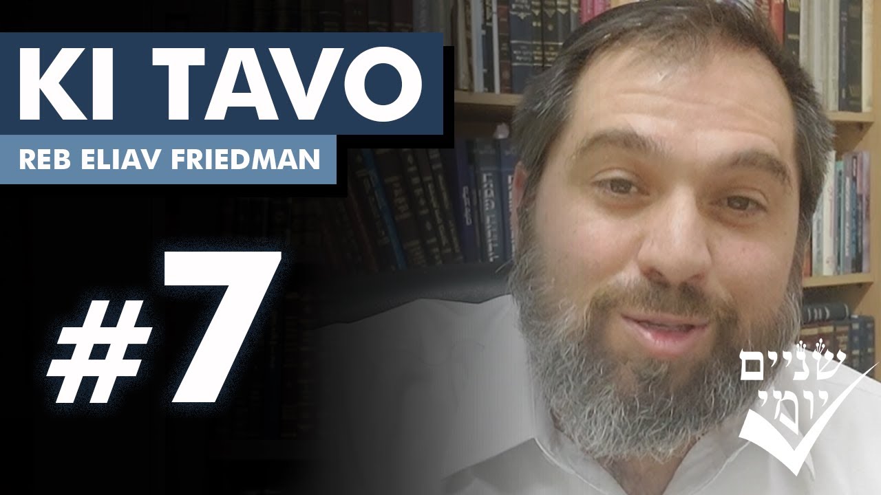 Shnayim Yomi - Ki Tavo - Sh'vi'i - #7- Reb Eliav Friedman