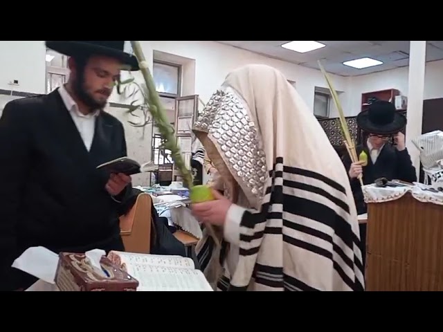 Hoshana Rabbah 5786 With Kretchnif Siget Rebbe