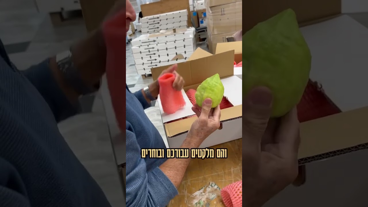 שלחו ווטסטפ למספר 0584151310 👇 | קופון הנחה KEPLER05 תקבלו 10 אחוז הנחה | בכשרויות המהודרות ביותר!