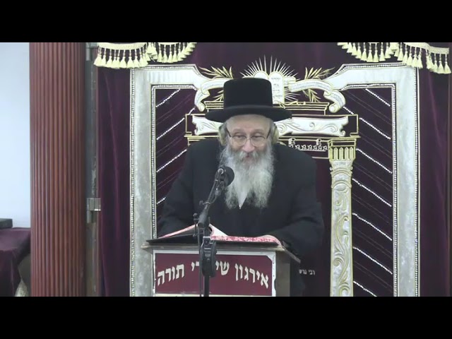 בענין מצת מצוה - ר' אפרים שמעון לייכטאג ליט"א