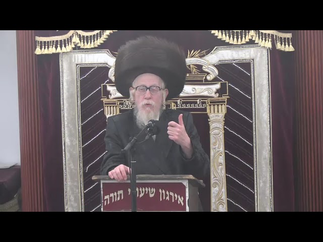 שואל כענין ומשיב כהלכה בד' חלקי שו"ע - ר' יחיאל מיכל שטיינמעטץ שליט"א