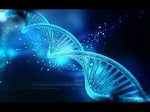 Shiur Torah #4 part 1 Proofs, Maaser, Shabbat and your DNA