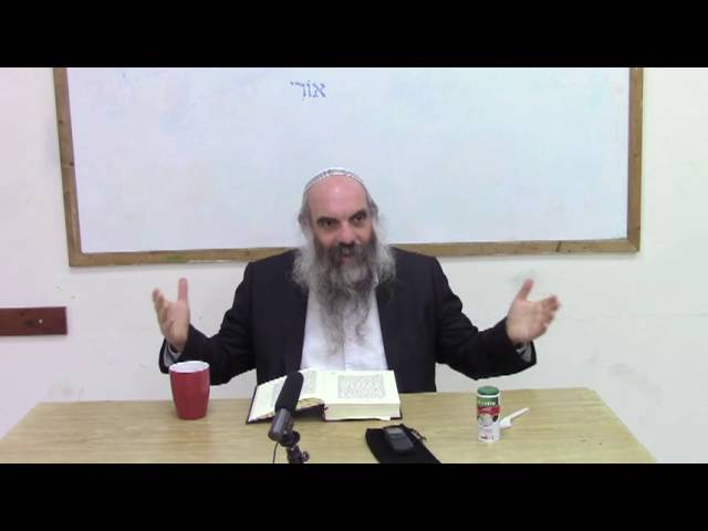 הרב יהושע שפירא - תניא - ט"ז אייר התשע"ו