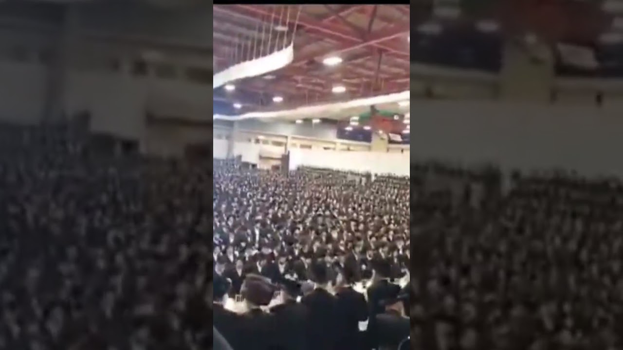 צדיקים