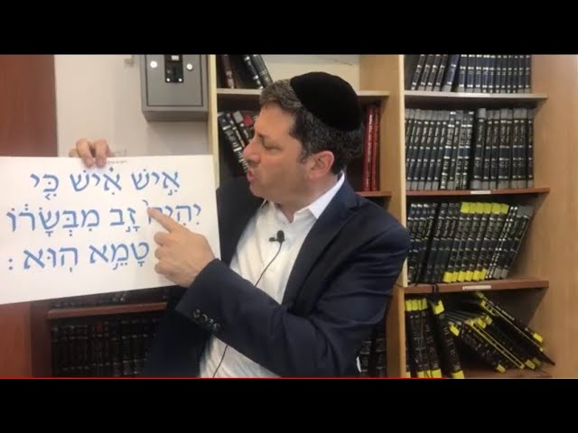 Daf Yomi Niddah Daf  55 by R’ Eli Stefansky