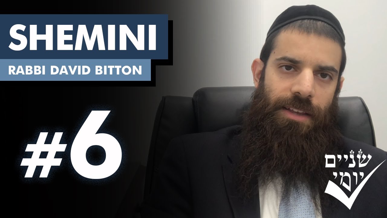Shnayim Yomi - Shemini - Shishi - #6 5784