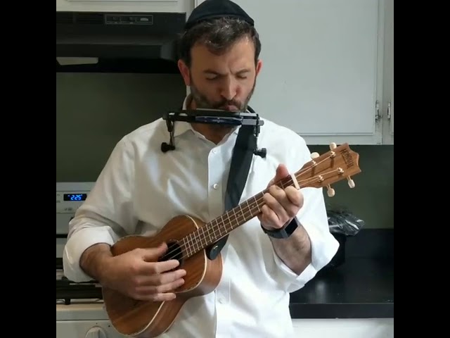 Elul Niggun (Eitan Katz) - Harmonica and Uke