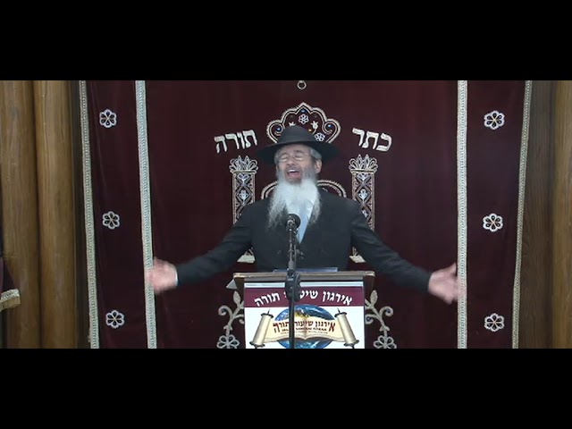 Start Fresh - Begin A New Chapter - Rabbi Dovid Goldwasser