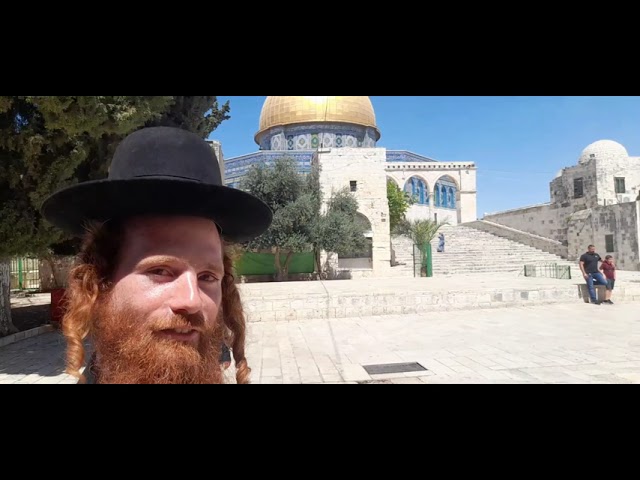 י"ז בתמוז בהר הבית: "עיקר התיקון הוא לבוא למקום הזה"