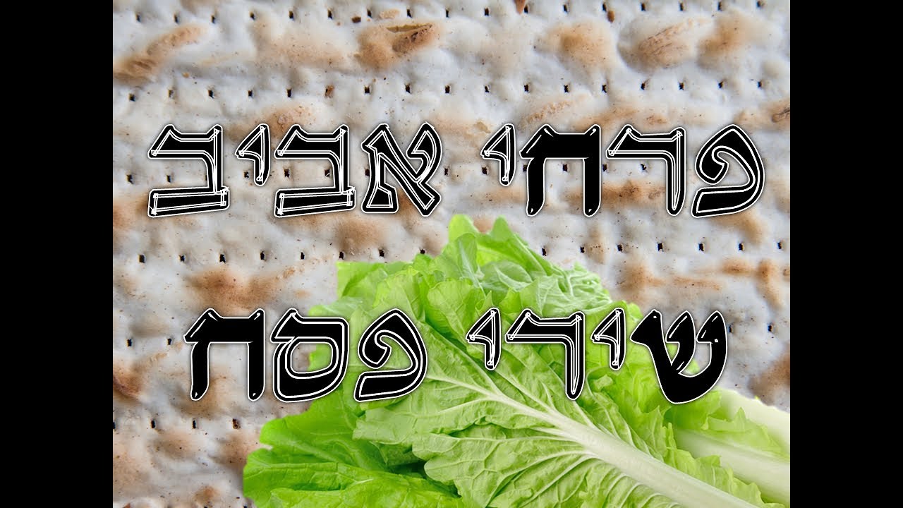 מחרוזת שירי פסח I פרחי אביב I ניצוח: גלעד פוטולסקי *  pesach songs aviv boys choir