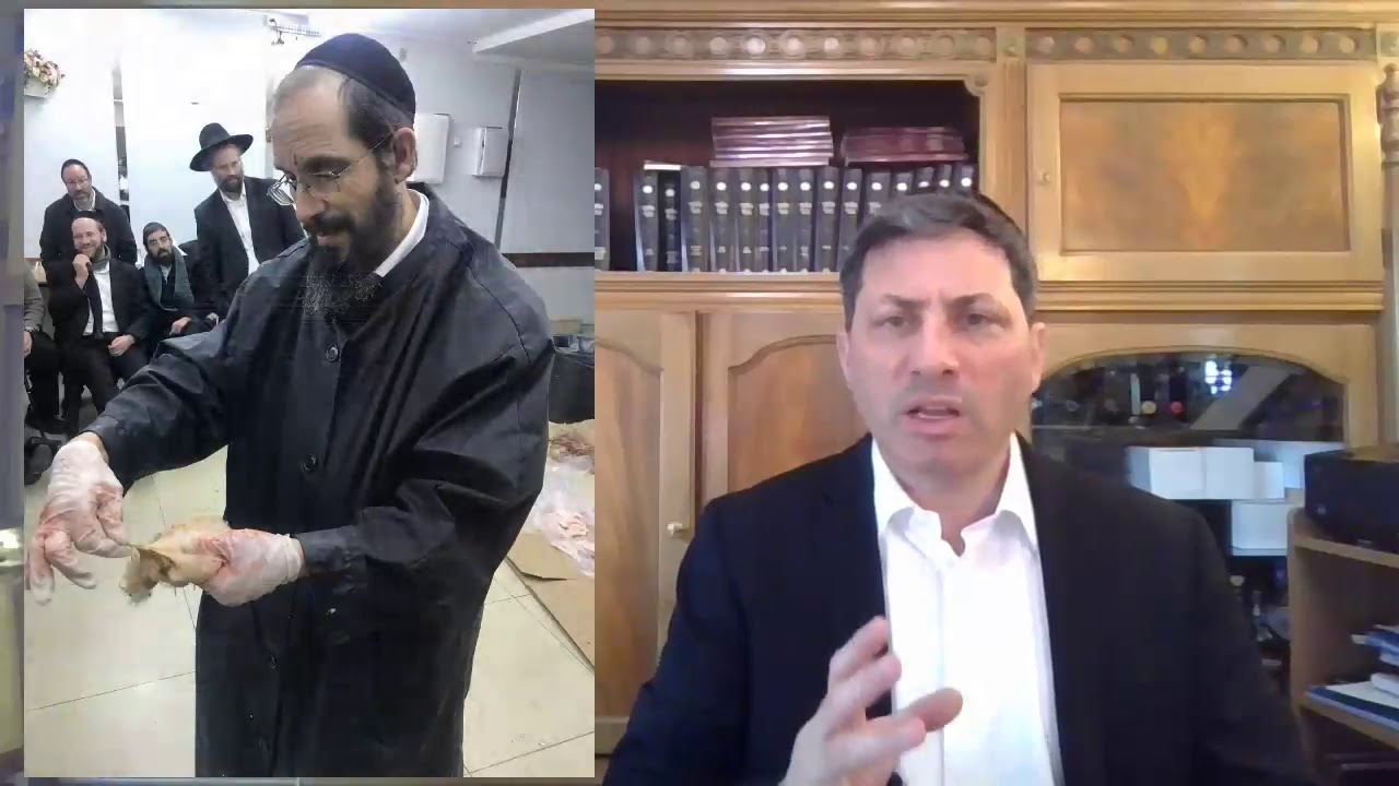Hebrew סיכום הדף בעברית חולין דף קי