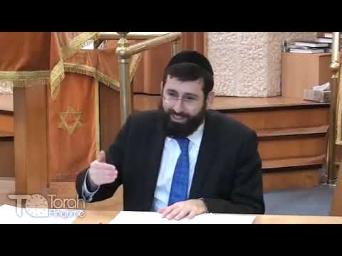 Parshas Noach: Transmigrations of Noach's Soul
