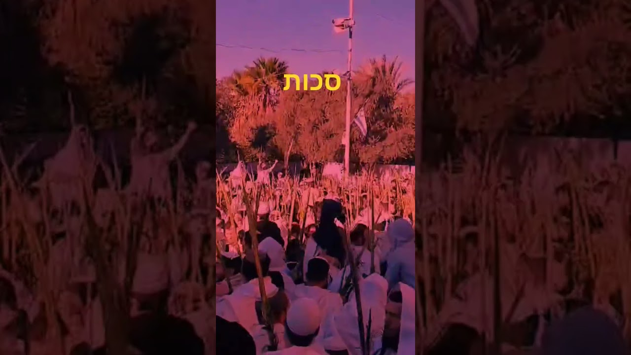 סכות