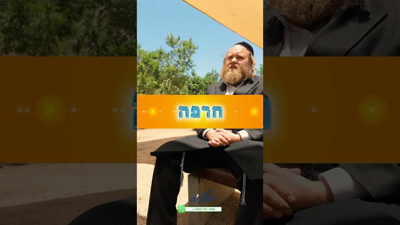 חרפה - disgrace