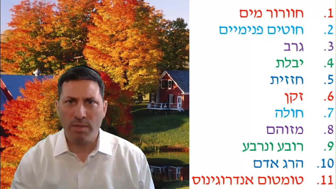 8 Min Daf - Bechoros Daf 41 by R’ Eli Stefansky