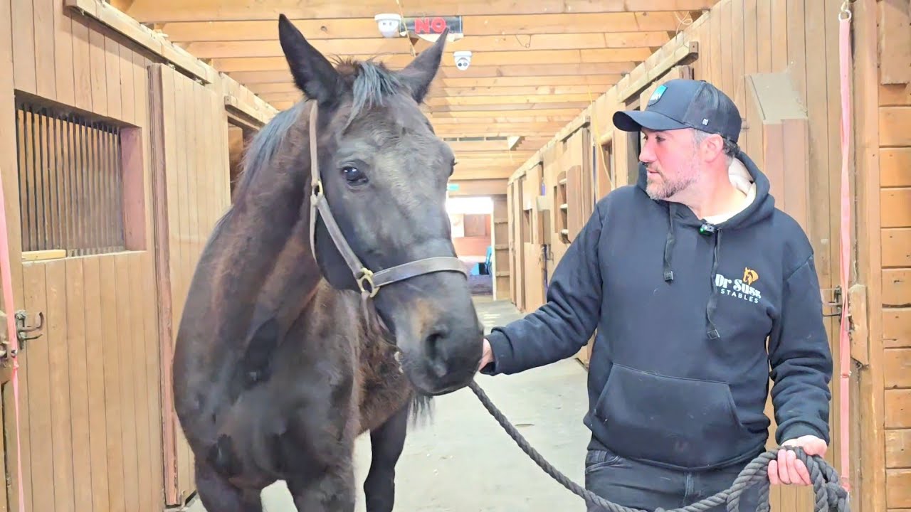 Tour Dr. Suss Stables in Jackson, NJ! Enjoy horse rides & feed the farm animals. Goats sheep & more