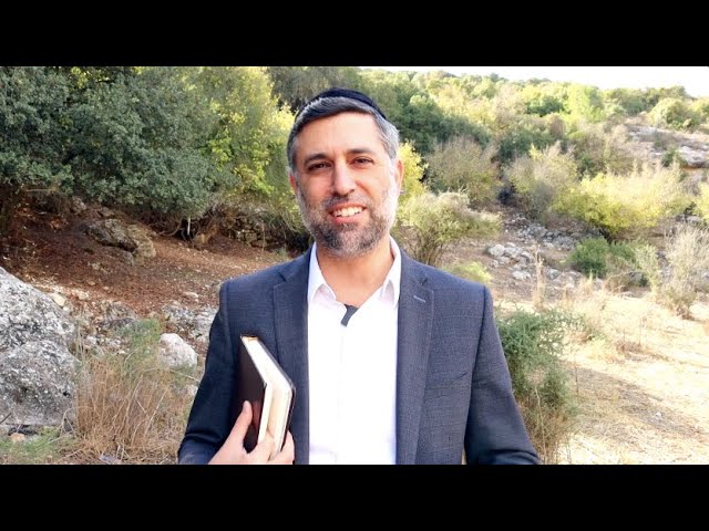 Bitachon 184 - When Israel Prospers All Prosper