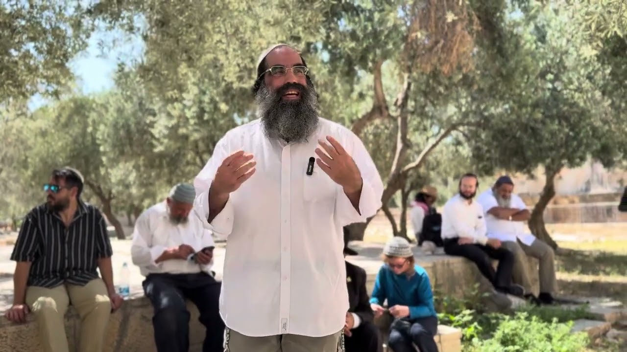 מהו הלקח לחיים ממצוות הפרה האדומה? | ר׳ דוד גולדשמיד