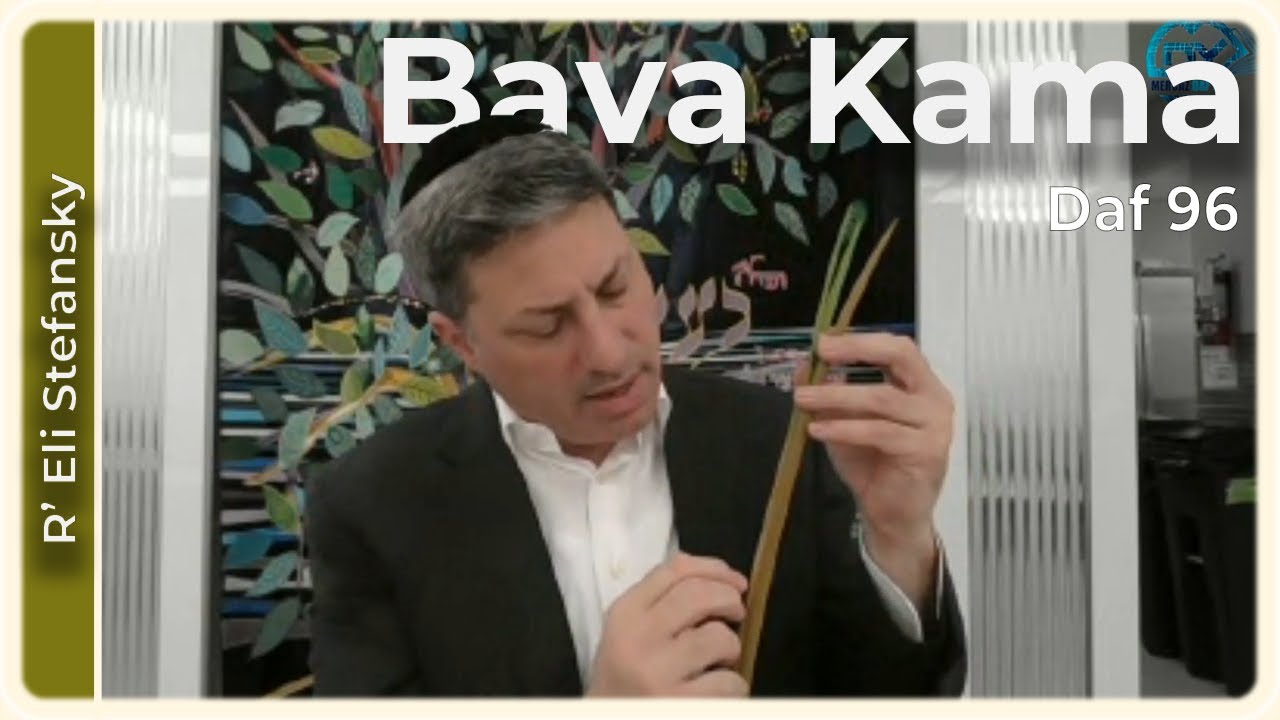 Daf Yomi Bava Kama Daf 96 by R’ Eli Stefansky