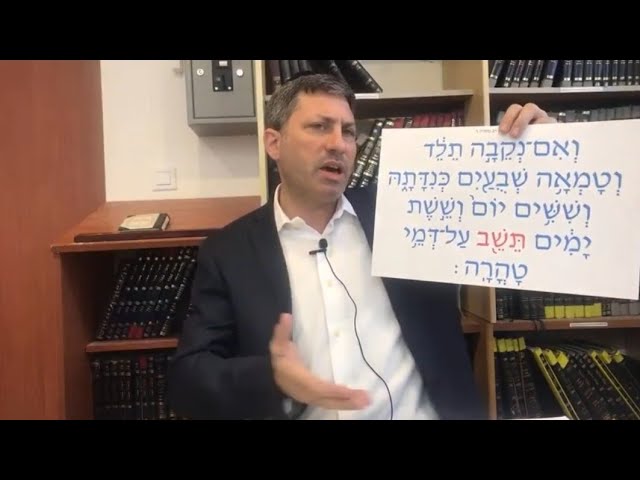 Daf Yomi Niddah Daf 37  by R’ Eli Stefansky