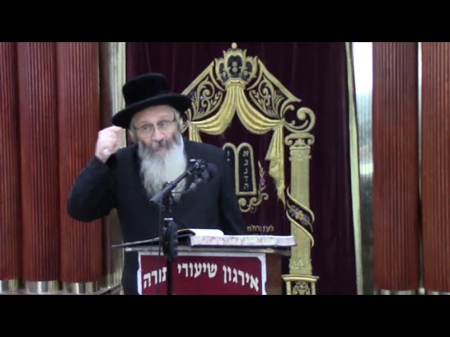קבלת תענית בזמן מנחה וכח הדיבור - ר' אפרים שמעון לייכטאג שליט"א