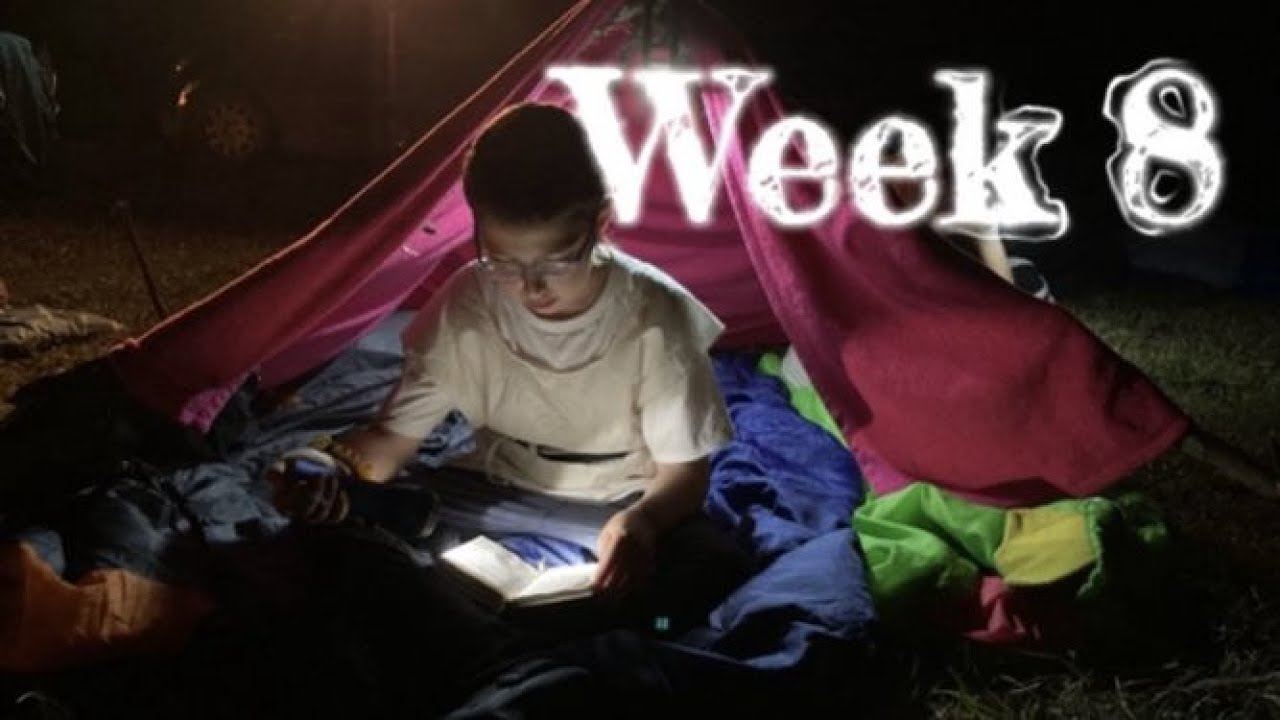 GAN week #8 - 5781