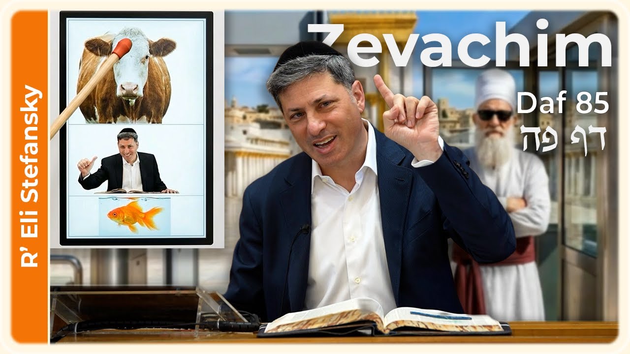 Daf Yomi Zevachim Daf 85 by R' Eli Stefansky