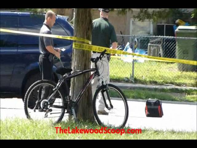 Ocean County K9 Dog For Unattended Suitcase Lakewood